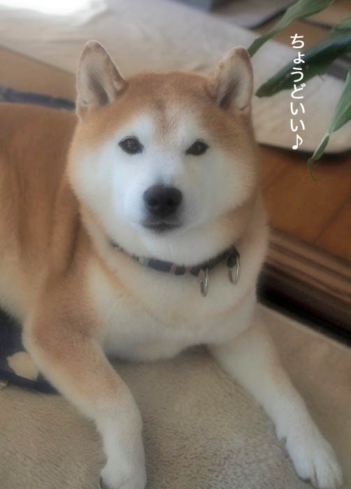 23日ブログ３