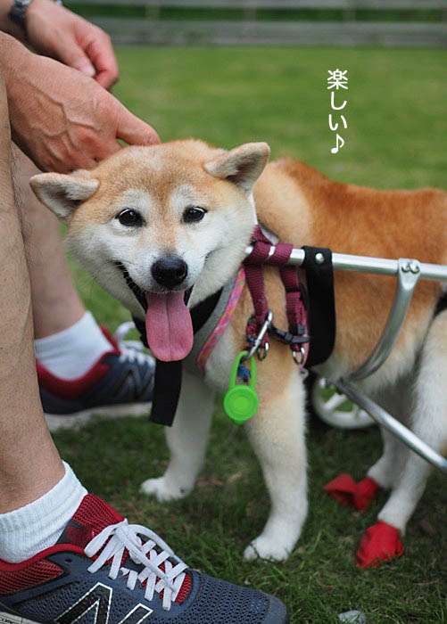 3日ブログ６