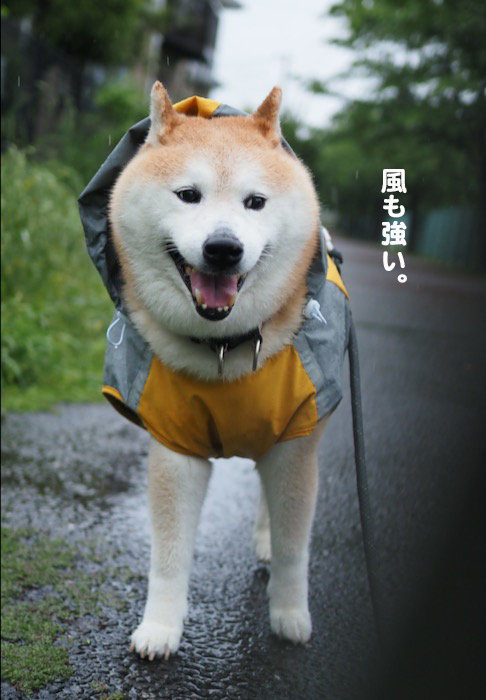 1日夜ブログ３