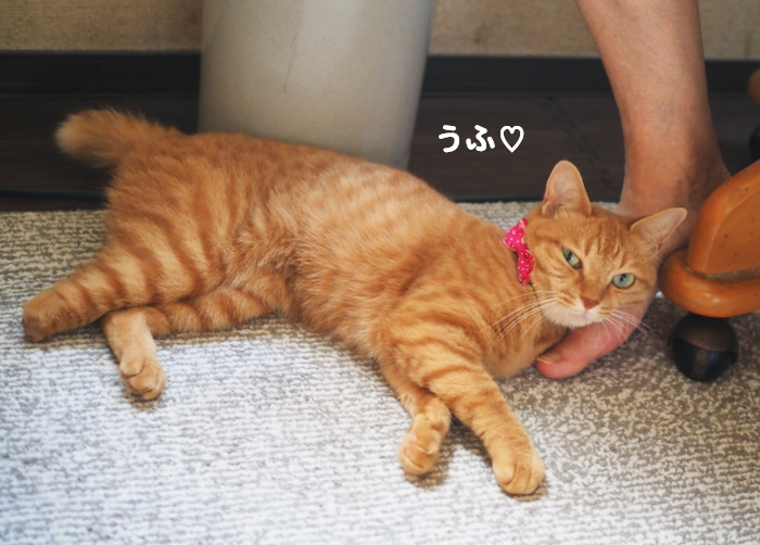 12日夕ブログ７