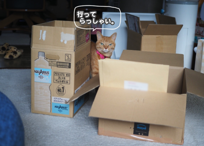 7日ブログ４