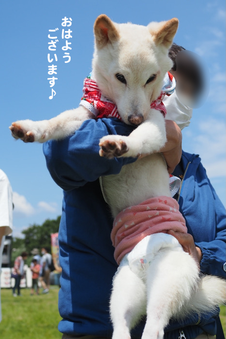 13日夕ブログ４