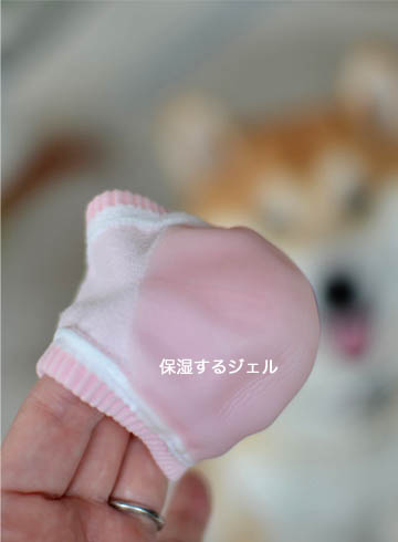 23日ブログ5.jpg