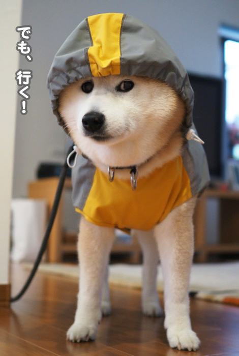 18日夜ブログ４