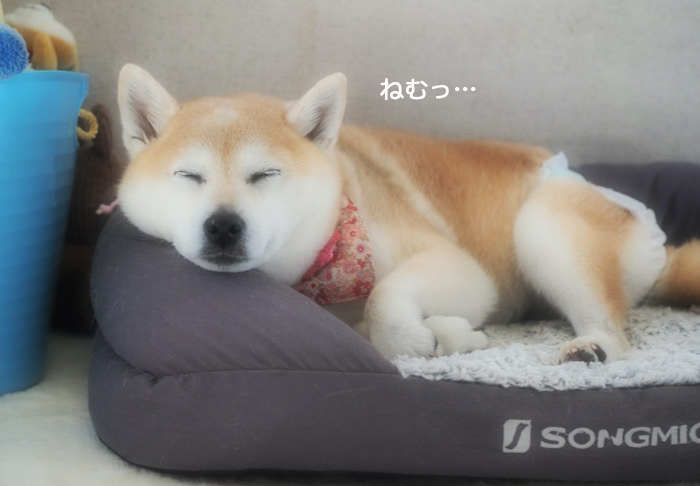7日ブログ３