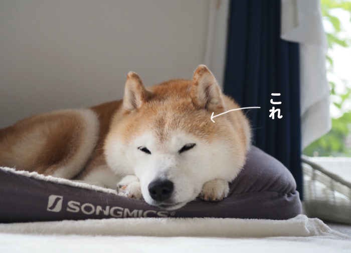 15日ブログ２