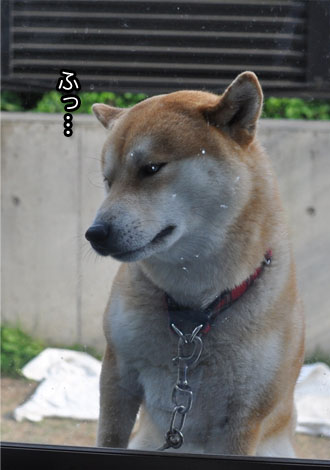 18日ブログ１２.jpg