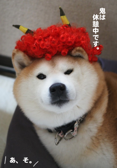 3日夕ブログ２
