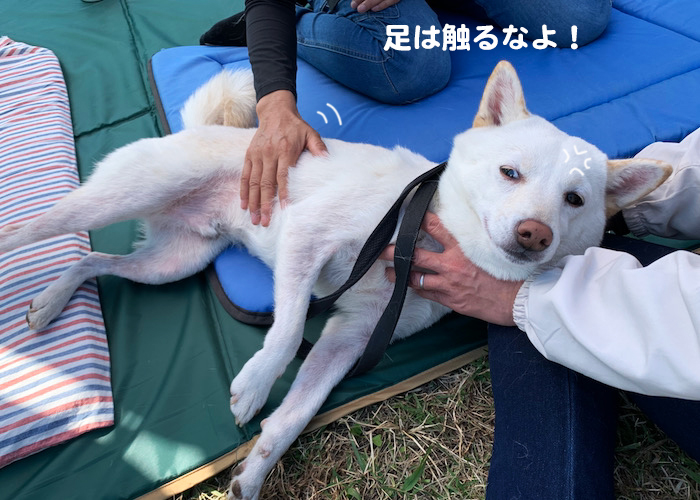 29日夕ブログ１２