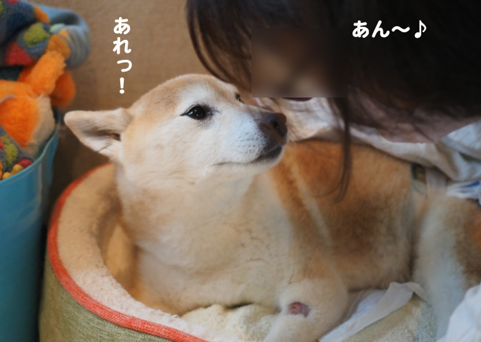 12日夕ブログ６