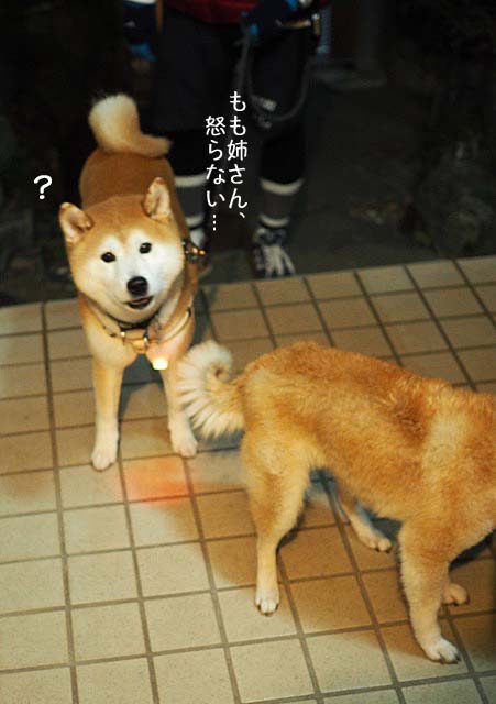 28日ブログ7