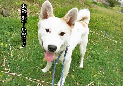 21日ブログ21.jpg