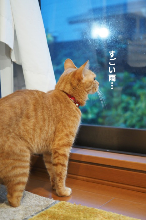 5日夕ブログ４