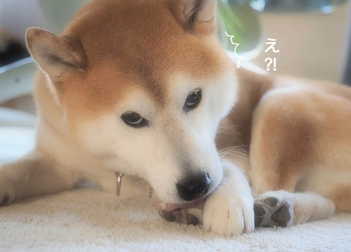 15日ブログ４