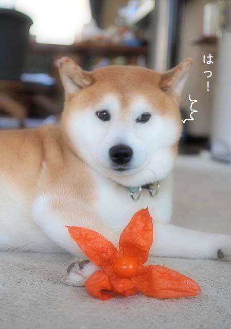 13日ブログ14