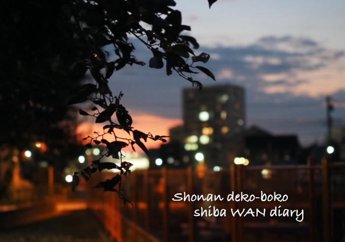 31日夕ブログ１