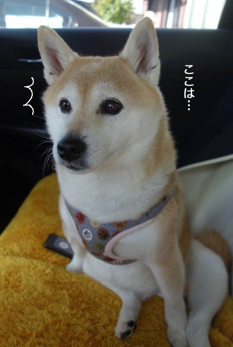 16日ブログ5