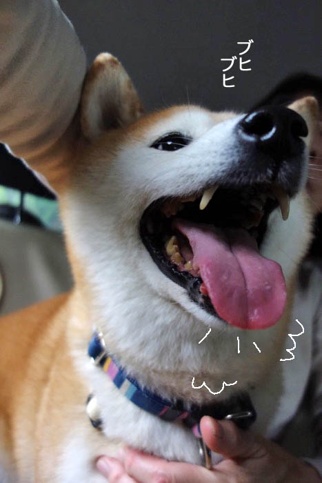 18日夜ブログ６