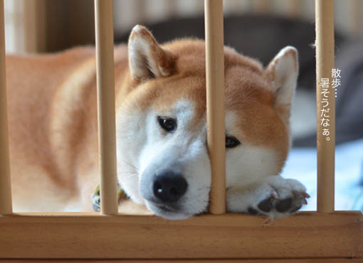 29日ブログ5.jpg