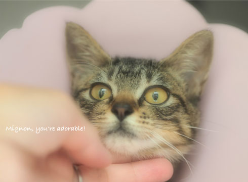 9日ブログ3.jpg
