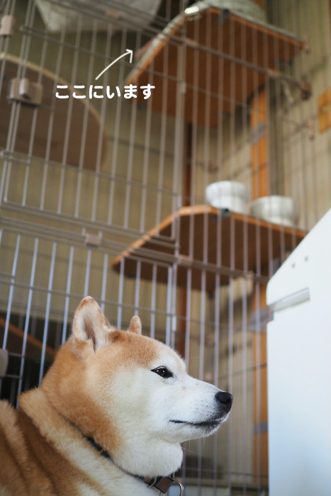 11日ブログ４