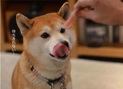 27日ブログ5.jpg