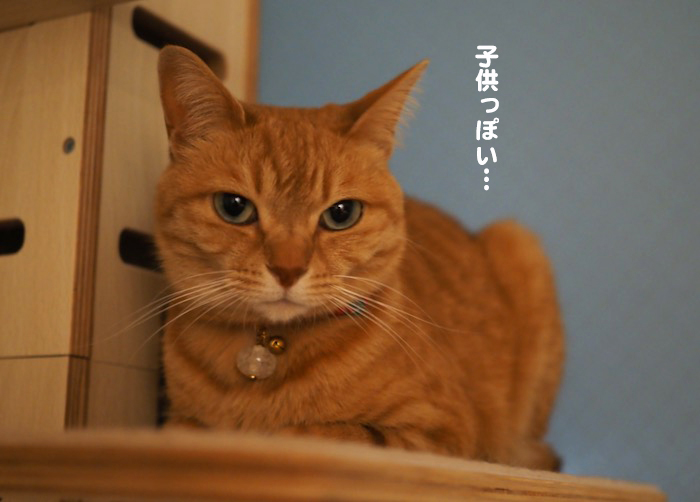 9日朝ブログ４