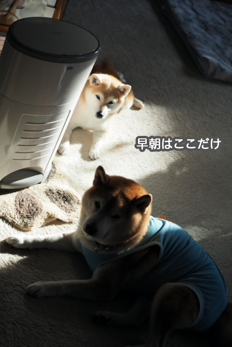 16日ブログ２