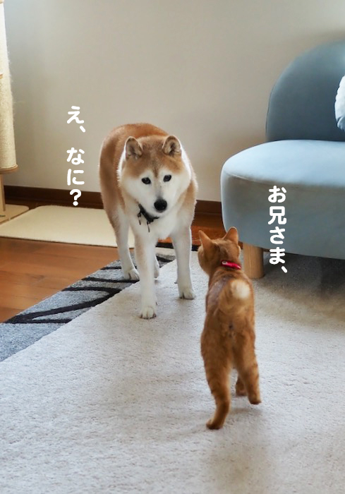 23日午前ブログ２