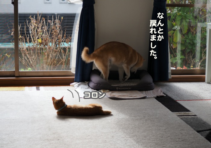 10日夕ブログ８