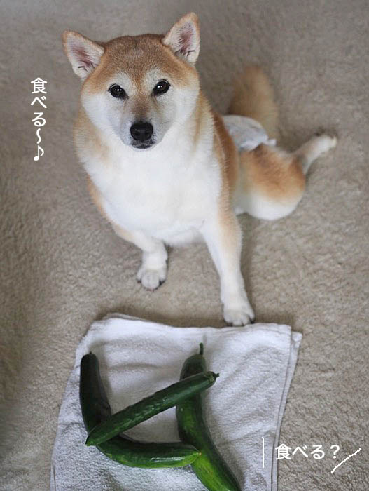 13日ブログ５