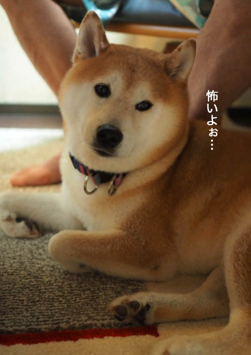 10日夜ブログ５