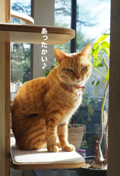 4日ブログ３