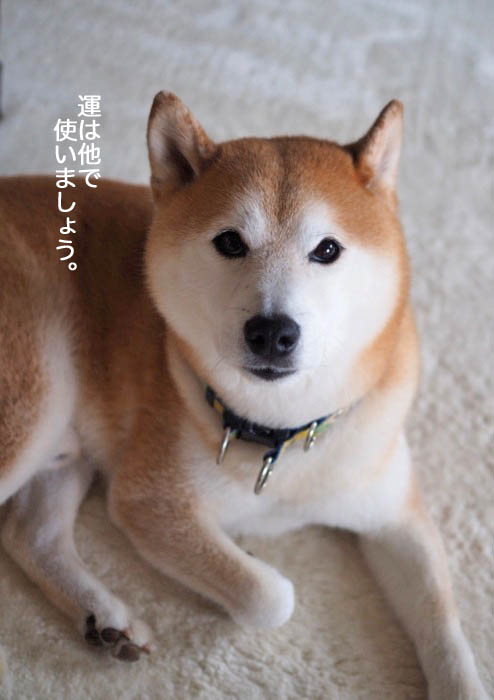 11日夜ブログ４