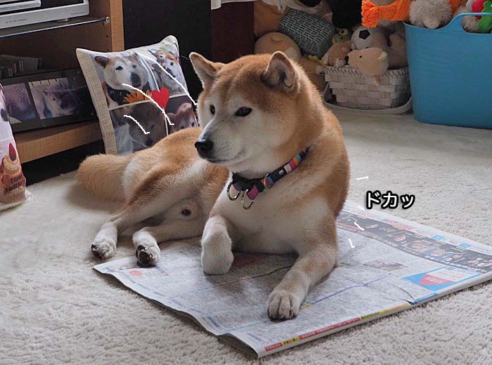 19日夜ブログ３