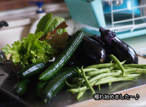 21日ブログ1.jpg
