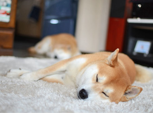15日ブログ8.jpg