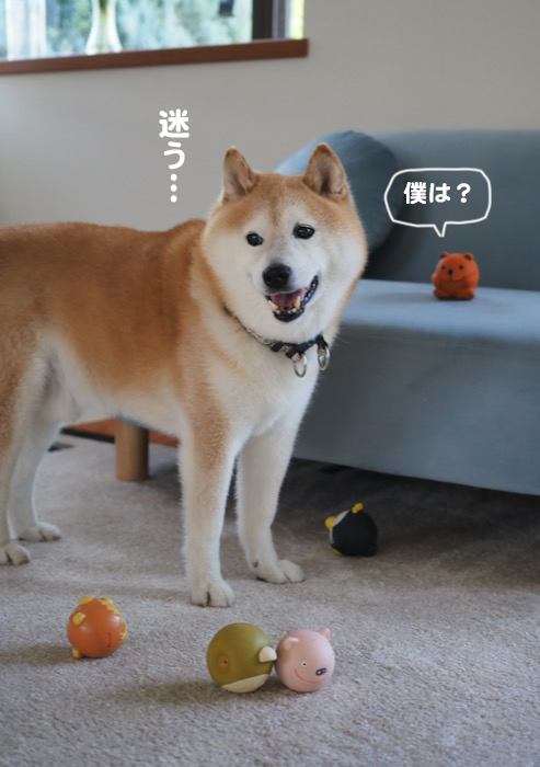 16日夕ブログ１３