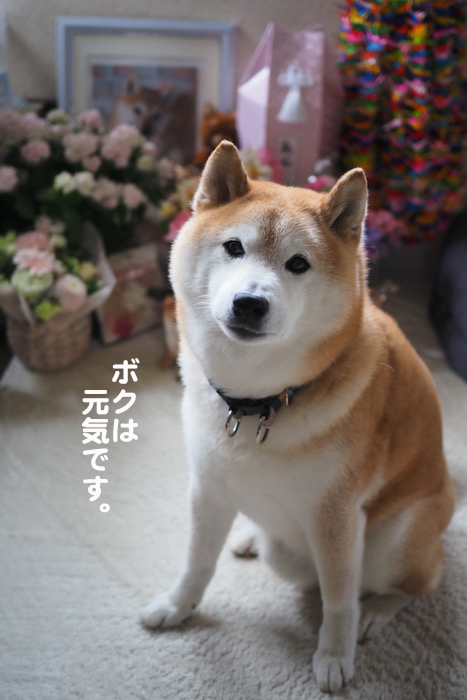 13日ブログ４
