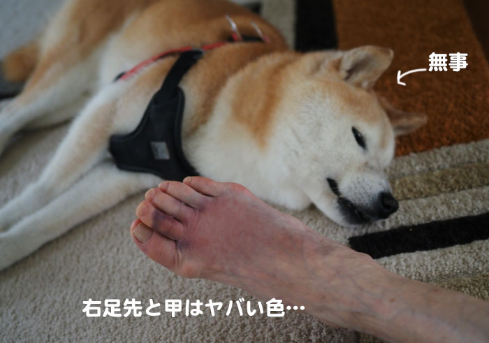 17日夕ブログ７