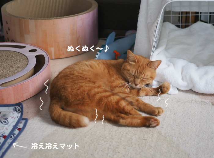 9日ブログ２