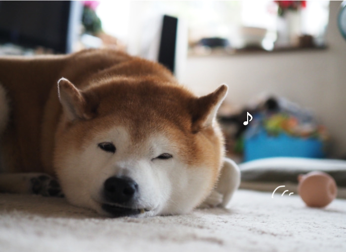 13日ブログ５
