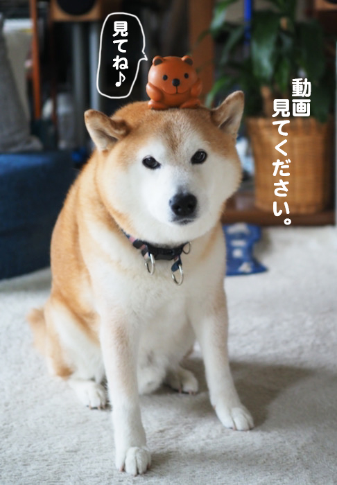 22日夜ブログ５