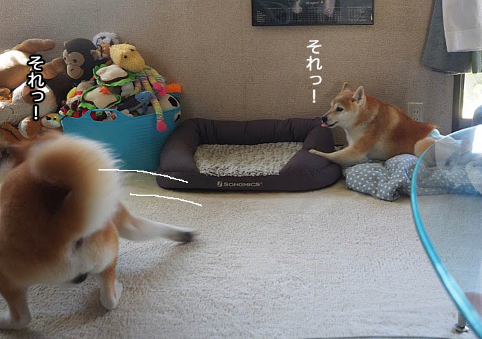 7日ブログ７