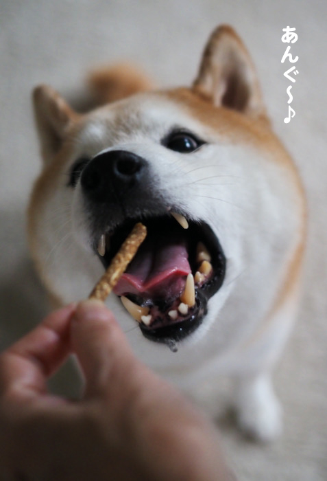 7日夕ブログ５