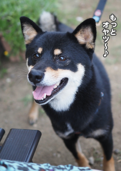 25日夕ブログ２