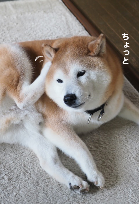 26日ブログ１