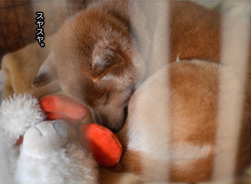 17日ブログ7.jpg