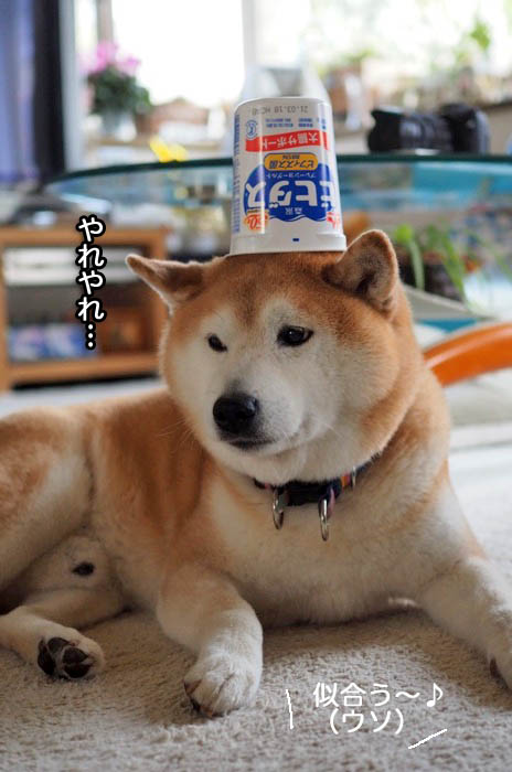 17日夜ブログ７