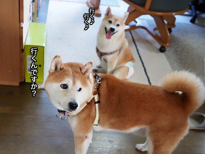 13日夜ブログ４